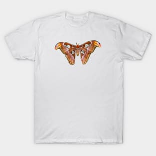 Butterfly / Swiss Artwork Photography T-Shirt